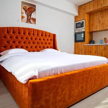 Elephant Vibe Rin Grand *