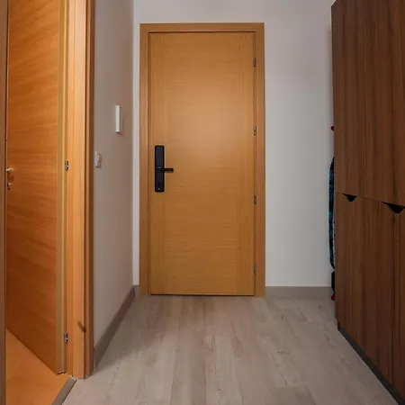 Elephant Vibe Rin Grand Bucharest